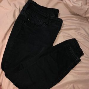 Torrid 16s Jeans